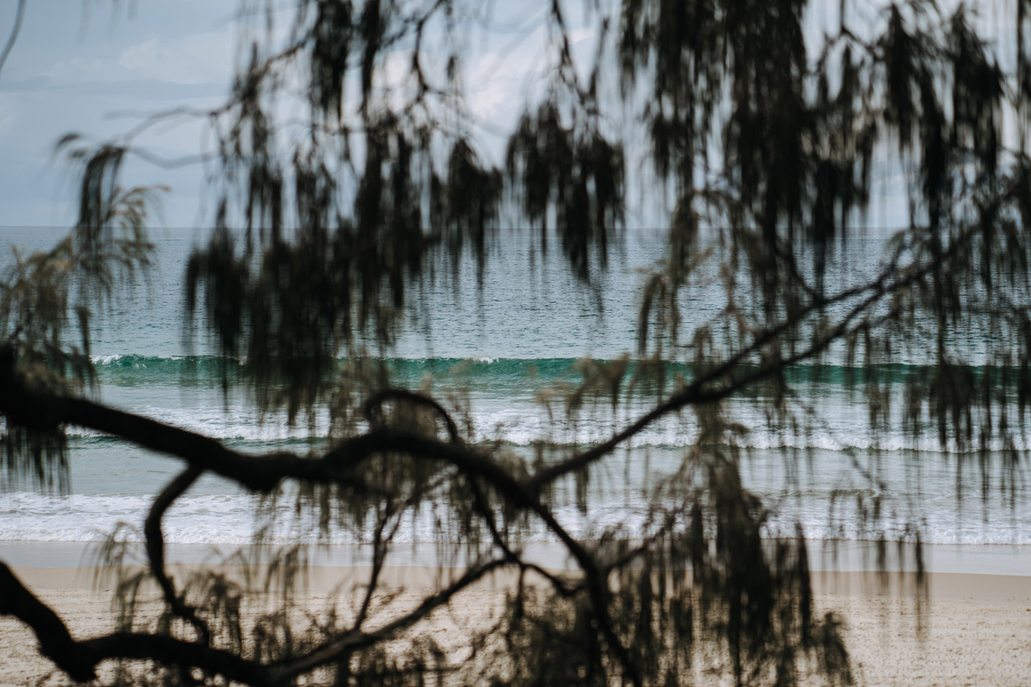 Noosa and Waterfront weddings and celebrations