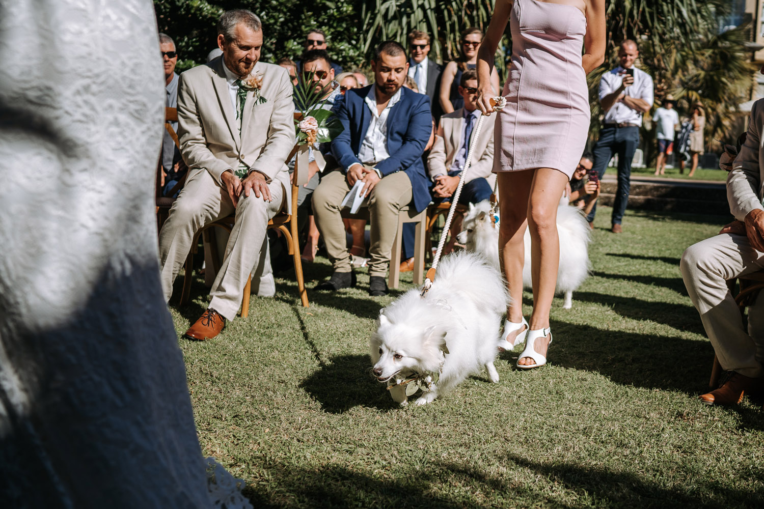 a celebration of Claire and Tamara's Noosa wedding on the Sunshine Coast
