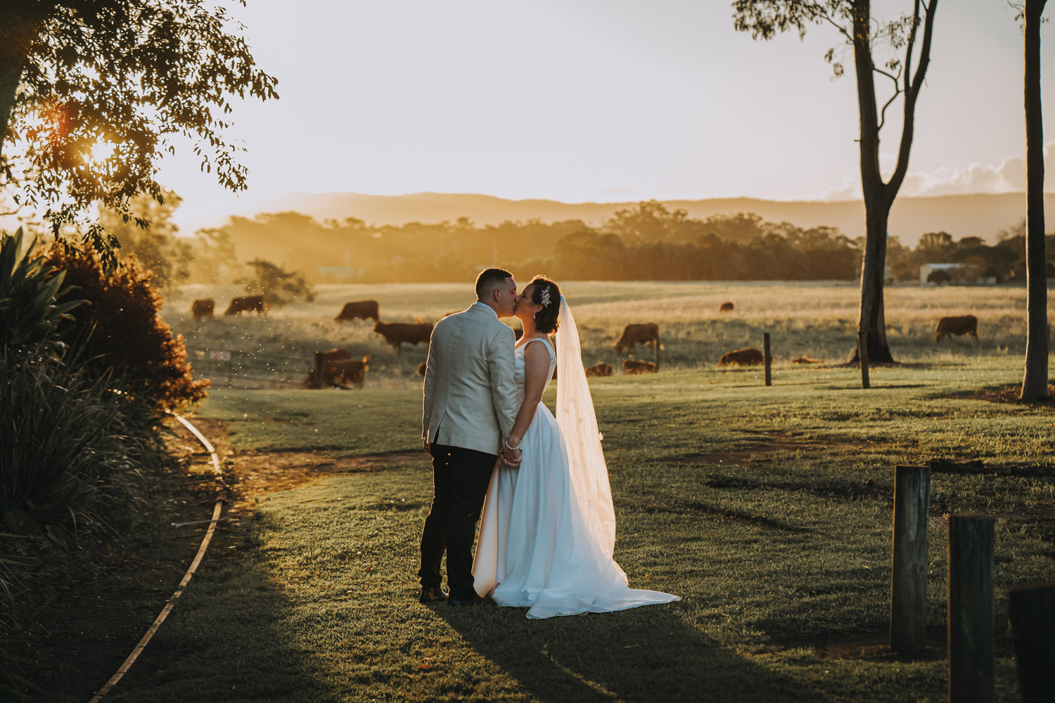 Bec and Cam celebrating their wedding at The Rocks Yandina on the Sunshine Coast