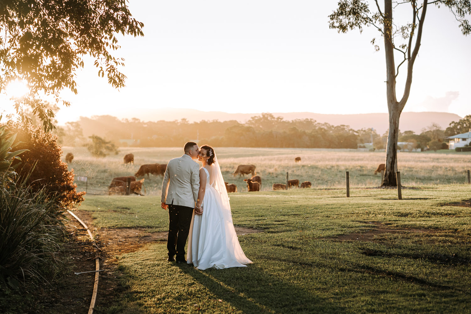 Bec and Cam celebrating their wedding at The Rocks Yandina on the Sunshine Coast